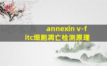 annexin v-fitc细胞凋亡检测原理